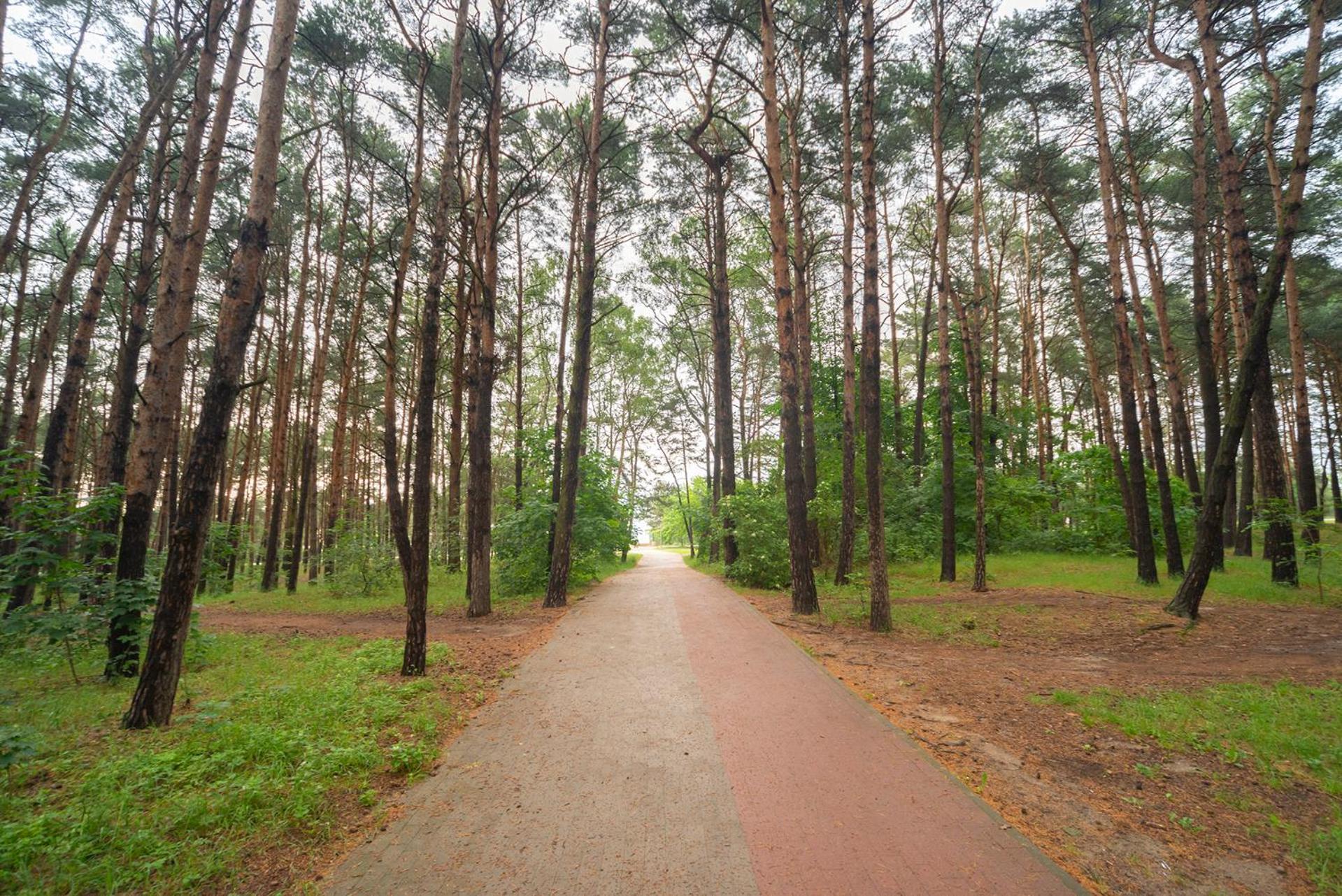 Apartament Wygodny Sopot Bagian luar foto